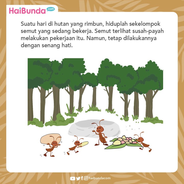 Cerita Nusantara Semut dan Kepompong