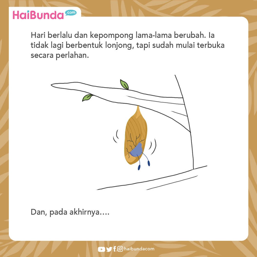 Cerita Nusantara Semut dan Kepompong