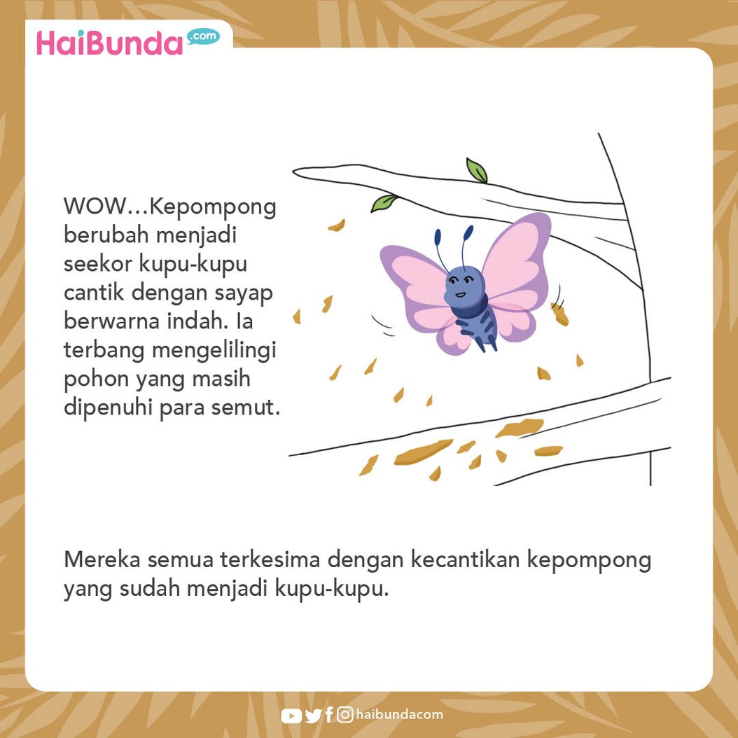 Cerita Nusantara Semut dan Kepompong