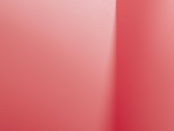 7 Hewan Dunia yang Berwarna Pink