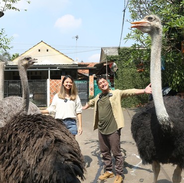 Jodohkan Burung Unta, Irfan Hakim dan Jacqueline Wijaya Besanan?