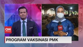 VIDEO: Program Vaksinasi PMK