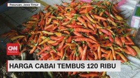 VIDEO: Harga Cabai Tembus 120 Ribu