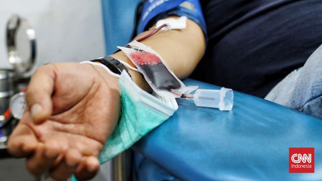 Apa sebenarnya yang terjadi pada tubuh usai donor darah? Kapan sel-sel darah di dalam tubuh akan kembali pada jumlah normal? Berikut penjelasannya.