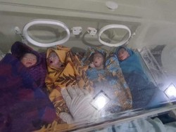Tolong! Warga Koltim Lahirkan 4 Anak Kembar Prematur Butuh Bantuan Biaya