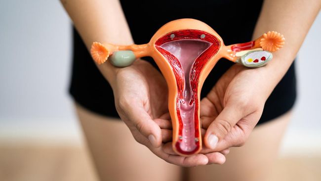 Kanker serviks jadi salah satu jenis kanker paling umum pada perempuan. Kenali cara mencegah kanker serviks.