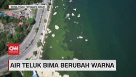 VIDEO: Air Teluk Bima Berubah Warna