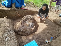 Fosil Diduga Kura-kura dan Buaya Purba Ditemukan di Sumedang