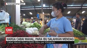 VIDEO: Harga Cabai Mahal, Para Ibu Salahkan Mendag