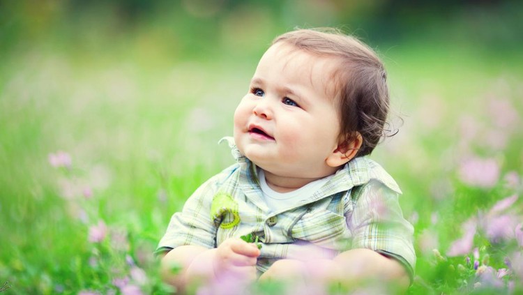 Ilustrasi bayi gemuk little baby boy sitting on the grass.Please see some similar pictures from my portfolio:
