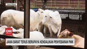 VIDEO: Jawa Barat Terus Berupaya Kendalikan Penyebaran PMK