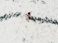 Cara UMKM Jadi Pemasok Industri, Ini Syarat yang Sering Terlewat
