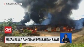 VIDEO: Massa Bakar Bangunan Perusahaan Sawit