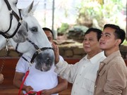Gibran Merasa Tak Mungkin Jadi Cawapres, Minta Tak Dicurigai