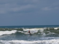 Aksi Surfer Taklukkan Ganasnya Ombak Pantai Parangtritis
