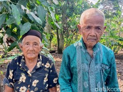 Asa Kakek 97 Tahun Calhaj Asal Purworejo Bisa ke Tanah Suci Tahun Depan
