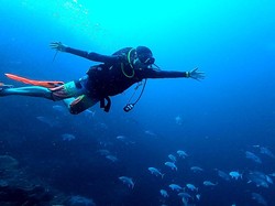 4 Spot Wisata Taka Bonerate di Sulsel, Bisa Bermain dengan Anak Hiu
