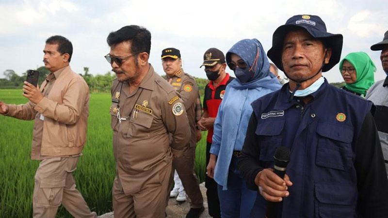 Menteri Pertanian Syahrul Yasin Limpo (Mentan SYL) mengecek lahan pertanaman padi Indeks Pertanaman (IP) 400 di Desa Tegalgondo