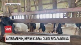 VIDEO: Antisipasi PMK, Hewan Kurban Dijual Secara Daring