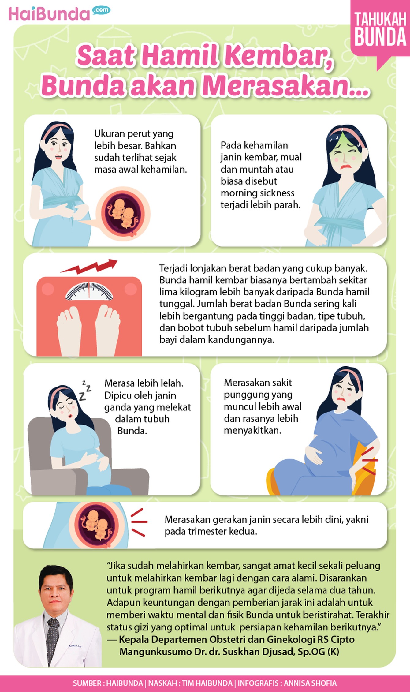 kehamilan kembar infog kehamilan kembar