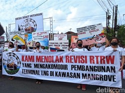 Terminal Gas di Hutan Mangrove Bali
