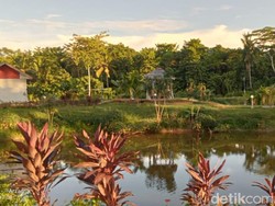 Menikmati Ragam Kuliner Lewat Objek Desa Wisata Nelayan di Luwu