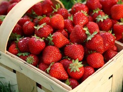 5 Cara Menyimpan Strawberry Agar Tidak Cepat Busuk dan Awet Segarnya