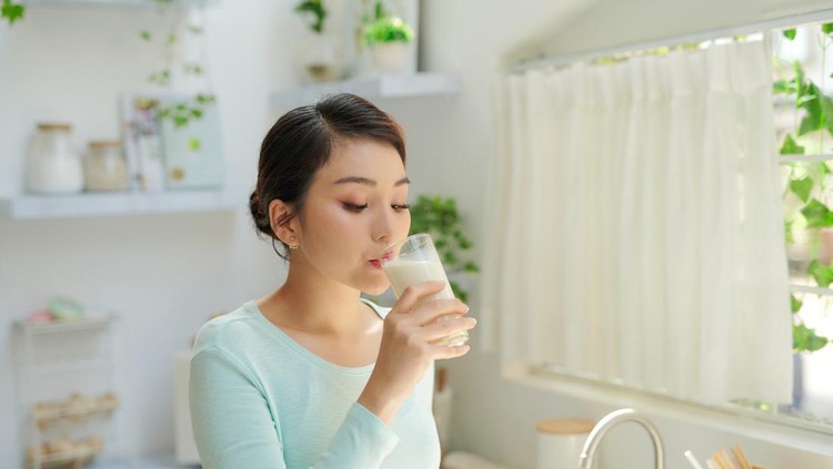 Susu ibu menyusui