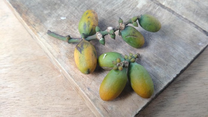 Gnetum gnemon fruit resting on a wooden chopping board