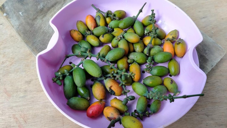 Buah Melinjo Gnetum gnemon fruit in a purple bowl on a wooden chopping board