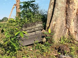 Mitos Harta Karun Rojo Koyo di Situs Kramat Gumuk Candi Tlawong