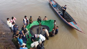4 'Ikan Raksasa' yang Ditemukan di Sungai Mekong Kamboja