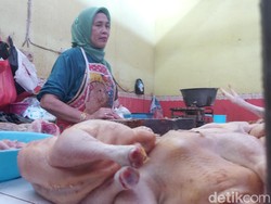 Info Buibu! Harga Ayam Naik-Cabai Rawit Turun di Denpasar Hari Ini