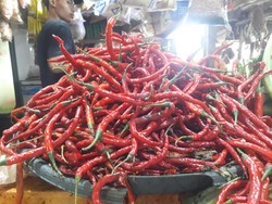 Harga Cabai di DKI Pedes Buanget! Tembus di Rp 130 Ribu/Kg