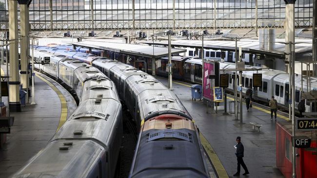 Gara-gara seekor kura-kura muncul di rel, kereta di London, Inggris jadi tertahan sehingga perjalanan tertunda.