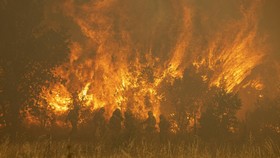 FOTO: 'Matador Api' Spanyol Berjibaku Redam Kebakaran Hutan
