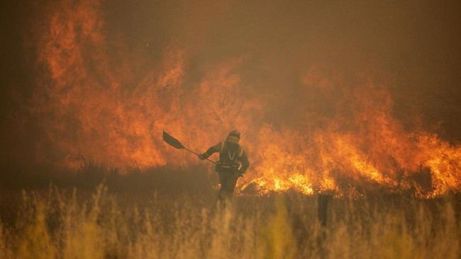 Spanyol mengalami kebakaran hutan pada Minggu (19/6) kala gelombang panas yang melanda Eropa Barat.