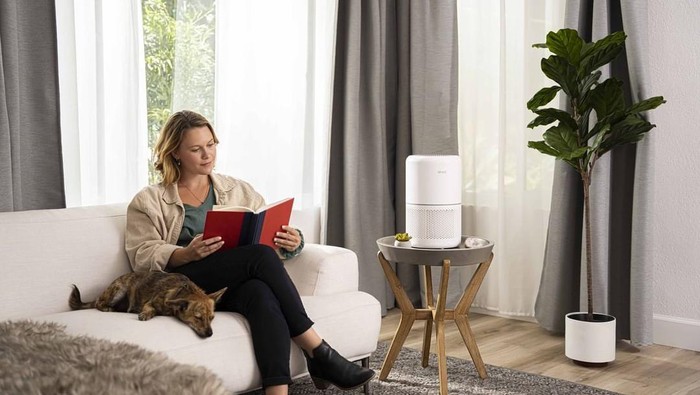 Berbeda dengan AC, Air Purifier Bisa Jadi Solusi Atasi Kualitas Udara yang Buruk