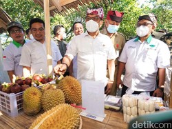 KSP Moeldoko Apresiasi Para Anak Muda Jagoan Tani Banyuwangi
