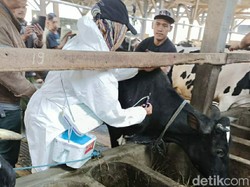 Pemotongan Hewan Kurban di RPH Kota Malang Sepi