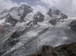 Peneliti Ungkap 10 Masukan Ilmiah Selamatkan Bumi dari Global Warming