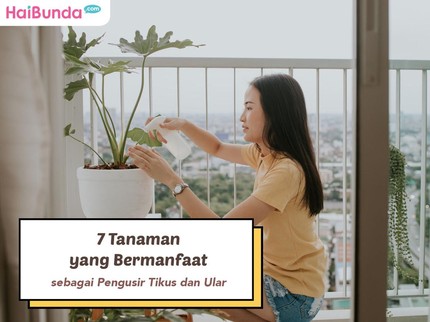 7 Tanaman yang Bermanfaat sebagai Pengusir Tikus dan Ular