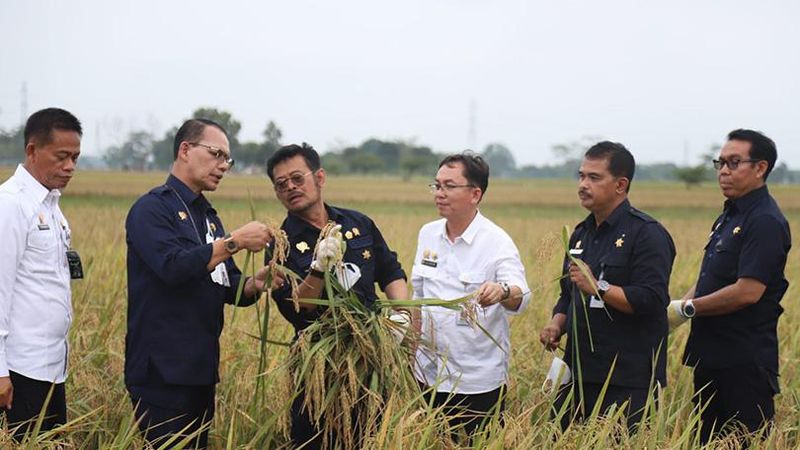 Menteri Pertanian Syahrul Yasin Limpo (SYL) mendorong peningkatan kualitas varietas benih padi unggul.