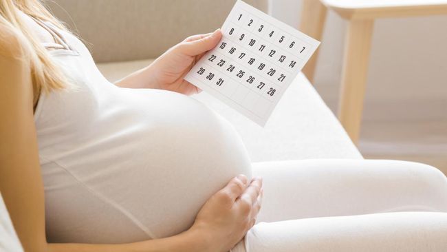 Gambar Perut Ibu Hamil 1-9 Bulan Serta Perkembangan Janin di Tiap Trimester