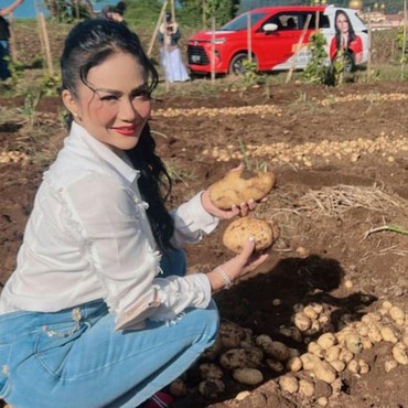 Pamer Panen Kentang di Ladang, Sepatu Krisdayanti Bikin Salah Fokus