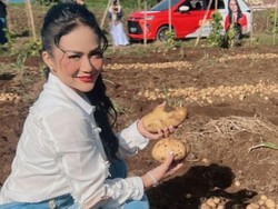 Pamer Panen Kentang di Ladang, Sepatu Krisdayanti Bikin Salah Fokus