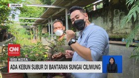 VIDEO: Ada Kebun Subur di Bantaran Sungai Ciliwung