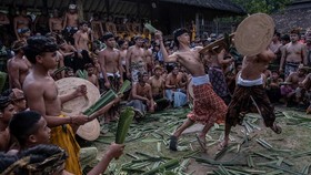 FOTO: Perang Pandan Bali, Tradisi Duel untuk Hormati Dewa Indra