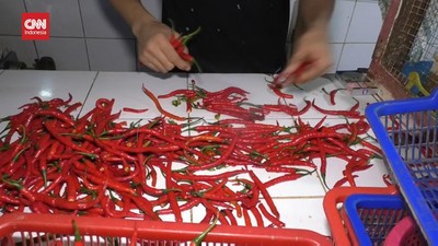 img-title VIDEO: Harga Sekilo Cabai Setara Harga 1 KG Daging Sapi