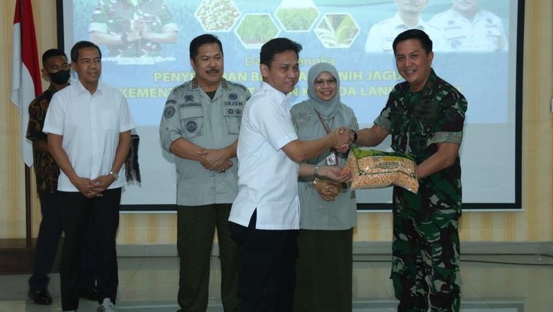 Kementerian Pertanian (Kementan) bekerja sama dengan TNI Angkatan Udara (AU) membudidayakan sorgum dan jagung